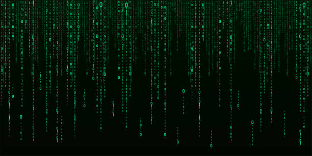 Vector digital green background of streaming binary code. Matrix background with numbers 1.0. Coding or hacking concept. Vector illustration. Vector digital green background of streaming binary code. Matrix background with numbers 1.0. Coding or hacking concept. computer language stock illustrations