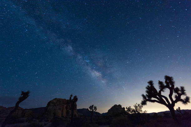 istock The Milky Way over Joshua Tree National Park 1510710069