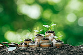 Coins stacked on the ground and seedlings grow in green business investment. Concepts of savings and financial growth, environmental, social and governance in sustainable business.