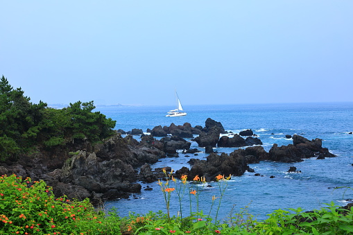 It is a beautiful scenery of Seogwipo coast in Jeju Island, a famous tourist attraction in Korea.