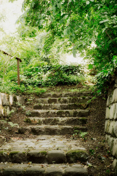 Stone steps taking into the woods in Montmartre. Montmartre is a Paris district located on a large hill of the same name in northern 18th arrondissement.