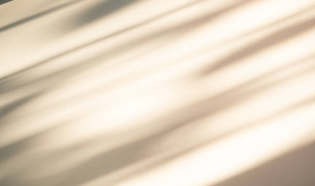 istock Abstract Shadow Background,Overlay Light White from Window on Brown Wall Floor Backdrop,Sunlight Cozy on Minimal Mockup,Texture Leaf Tree Pastel on blur Cement Marble Concrete 1510762093
