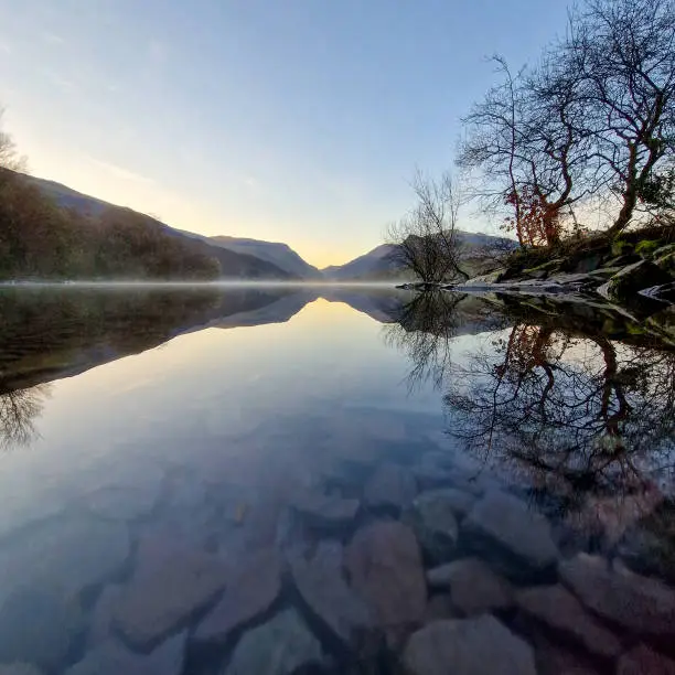 Photo of The Solitude of the Welsh Lonely Tree