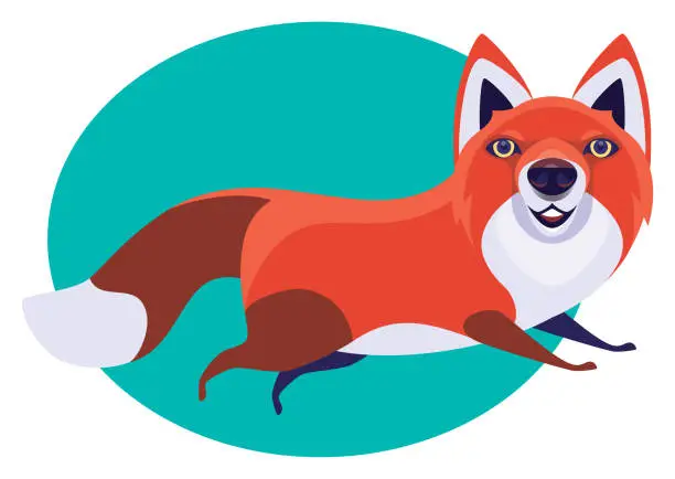 Vector illustration of red fox running