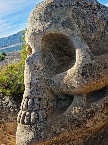 human head skull