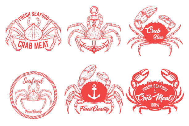 ilustraciones, imágenes clip art, dibujos animados e iconos de stock de juego de etiquetas vintage de carne de cangrejo. carne de cangrejo. emblemas de mariscos - fish cakes illustrations