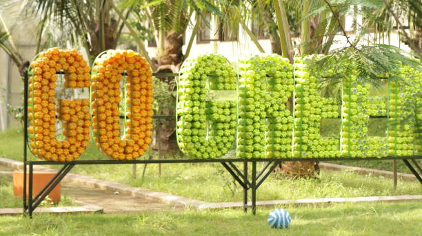 istock Go green area and the blue ball 1510818398