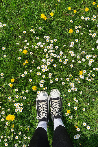 women's feet in sneakers on a lawn with daisies and dandelions