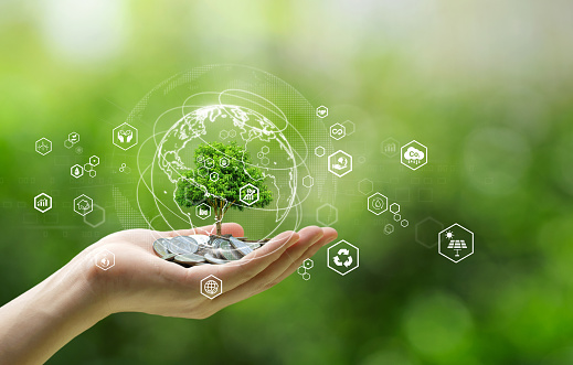 Hands holding coins and small tree with icons of energy sources for renewable, sustainable development. sustainable development and investments that are environmentally friendly.Saving the environment