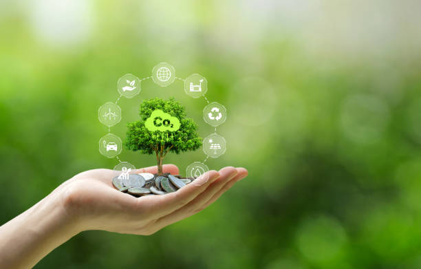 Carbon credit concept.Hands holding coins and tree with icons of energy sources for renewable, reduction of carbon emissions, carbon neutral concept. Net zero greenhouse gas emissions target. concepto de crédito de carbono. manos sosteniendo monedas y árbol con iconos de fuentes de energía renovables, reducción de emisiones de carbono, concepto de carbono neutral. objetivo de cero emisiones netas de gases de efecto invernadero.