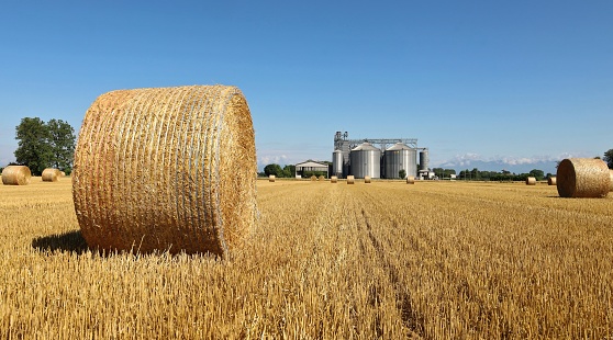 hay bale in provence