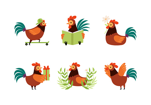 Rooster or Cock Character as Farm Poultry and Feathered Bird Vector Set. Funny Cockerel as Domesticated Fowl with Bright Plumage Concept