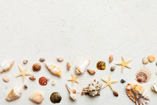 istock Summer time concept Flat lay composition with beautiful starfish and sea shells on colored table, top view with copy space for text 1510863809
