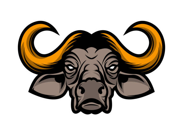 Buffalo head. Sport team mascot. Design element for label, emblem, sign, badge. Vector illustration. Buffalo head. Sport team mascot. Design element for label, emblem, sign, badge. Vector illustration. african buffalo stock illustrations