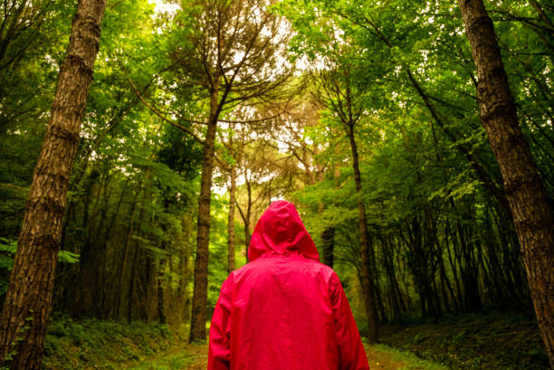 istock a man wearing a red hooded raincoat and alone at the forest 1510903182