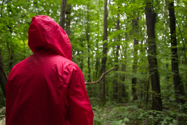 istock a man wearing a red hooded raincoat and alone at the forest 1510903709