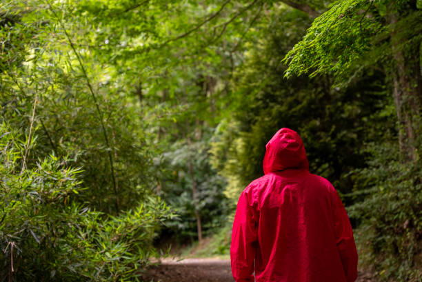 istock a man wearing a red hooded raincoat and alone at the forest 1510903716