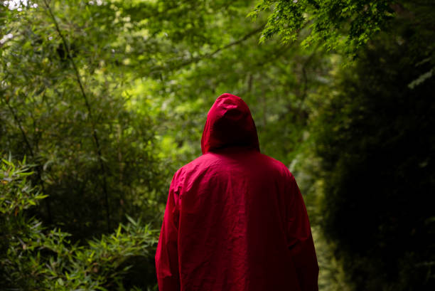 istock a man wearing a red hooded raincoat and alone at the forest 1510903721