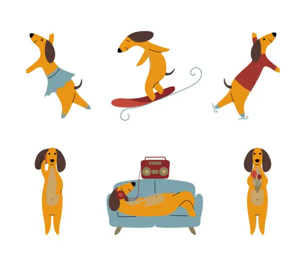 Vector illustration of Comic Brown Dachshund Dog Engaged in Different Activity Vector Set