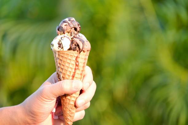 istock A coconut milk chocolate ice cream in a crispy cone ,holding with a man hands and blurred green nature background 1510935997
