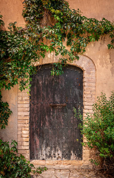 istock Old wooden door 1511018493
