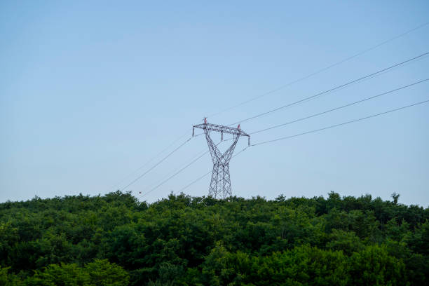 Power-lines by trees. Dangerous condition for wildfires