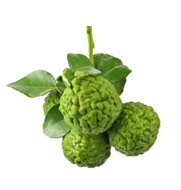istock bergamot or kaffir lime fruit with leaf isolated on white background. 1511028846