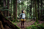 Woman exploring the rugged beauty of Tasmania's wilderness bushwalking through a temperate rainforest.