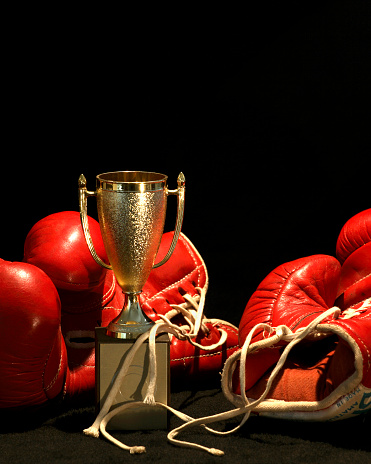 golden winner-cup between two red boxing gloves, in front of a dark background