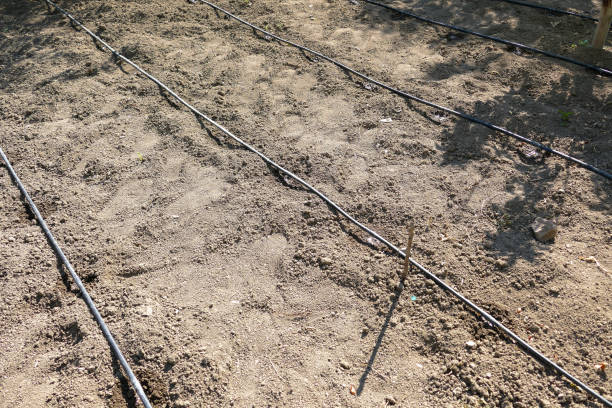 istock saving irrigation, drip system irrigation, preventing water waste in agriculture, 1511081792