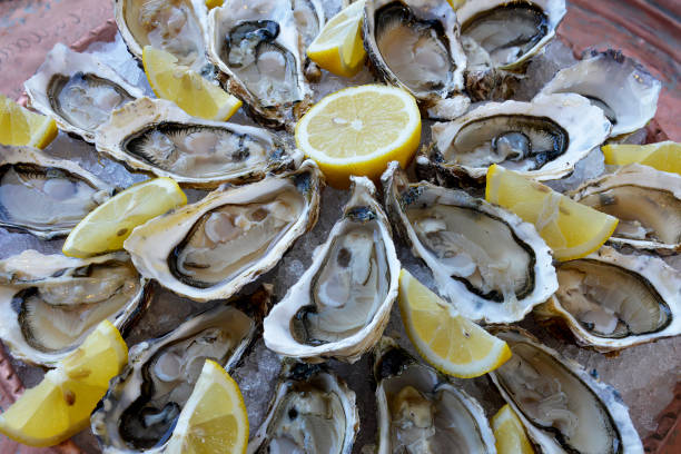 istock Tray of open oysters with lemon wedges 1511082311