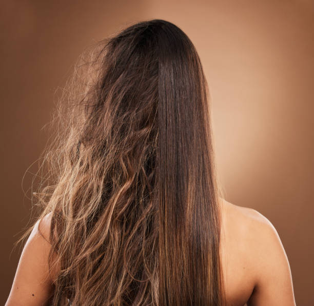 frizz, daño por calor y cabello de una mujer aislada sobre un fondo marrón en un estudio. espalda, tratamiento de salón y dama que muestra resultados del tratamiento de keratina, antes y después de un procedimiento de peluquería - frizzy human hair women curly hair fotografías e imágenes de stock