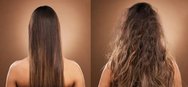 Hair care, beauty and back of woman in studio with shiny, clean and messy dirty hairstyle. Health, self care and model with knots before keratin, brazilian or botox hair treatment by brown background