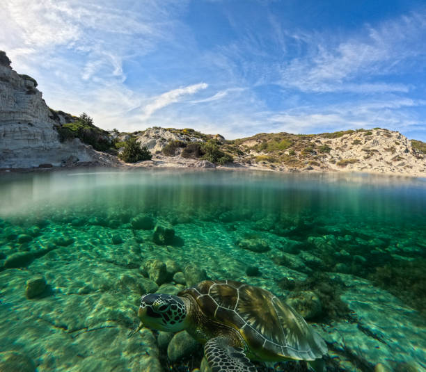 istock Half Underwater Half Skyline View Above and Below Water Surface 1511115983