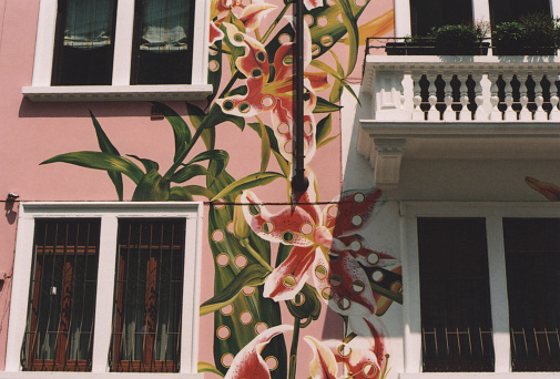 Leaves and Flowers Painted on a Building Facade. Art and Architecture in Milano, Italy. Film Photography