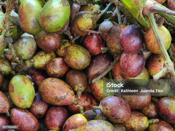 Fruit Stock Photo - Download Image Now - Agriculture, Asia, Buying
