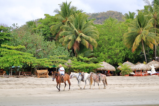 March 14 2023 - Samara, Guanacaste in Costa Rica: Horseback Riding in Costa Rica at the beach