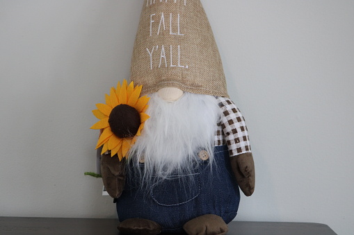 Scarecrow crafts with fern plants