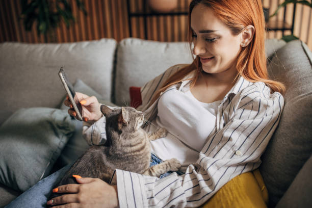 istock Young woman cuddling with cat at home ad using smartphone 1511204471