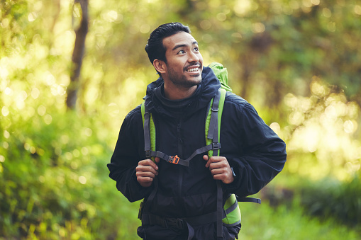 Asian man, backpacker or hiking in nature forest, trekking woods or Japanese trees in adventure workout or fitness exercise. Smile, happy or environment hiker in travel freedom or healthcare mock up