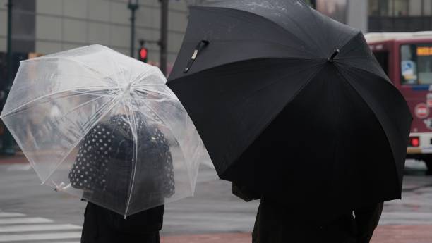 istock Couple holding black and white umbrella  in raining day. 1511215389