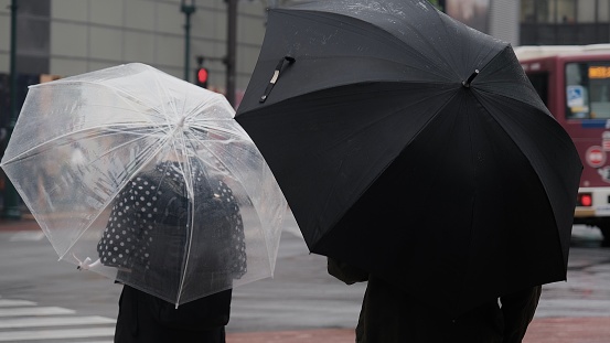 Couple holding black and white umbrella  in raining day.