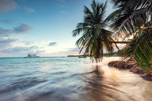 Exotic island beach with palm trees on the Caribbean Sea shore at sunrise, summer tropical holiday