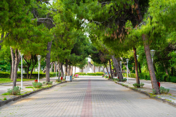 istock The road between the trees in Izmir Kulturpark. 1511227586