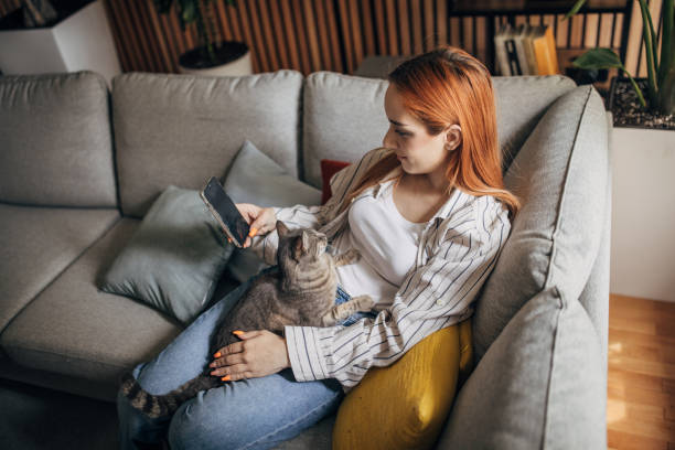 istock Young woman cuddling with cat at home ad using smartphone 1511234430