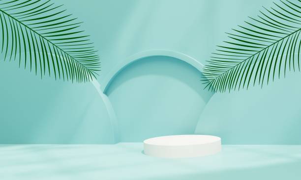 istock white podium on pastel blue background with palm leaves and sunlight elements, 3D rendering illustration 1511236591