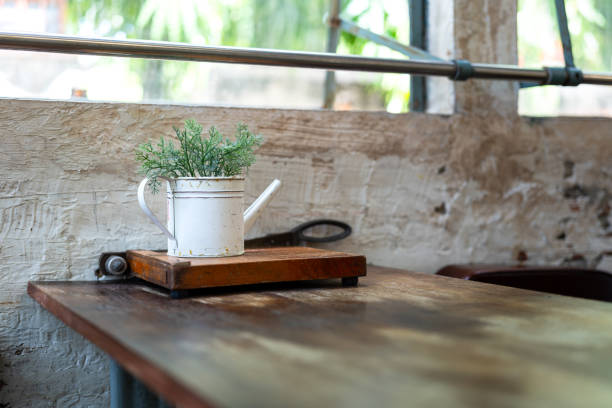 Vibrant yellow wall with potted plants on a wooden bench, next to wooden stairs. Ideal for cozy home exteriors, garden design, or entrance styling concepts.