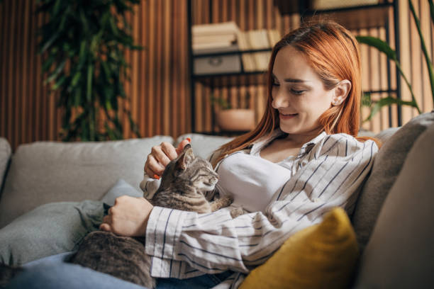 istock Young woman cuddling with cat at home 1511246454