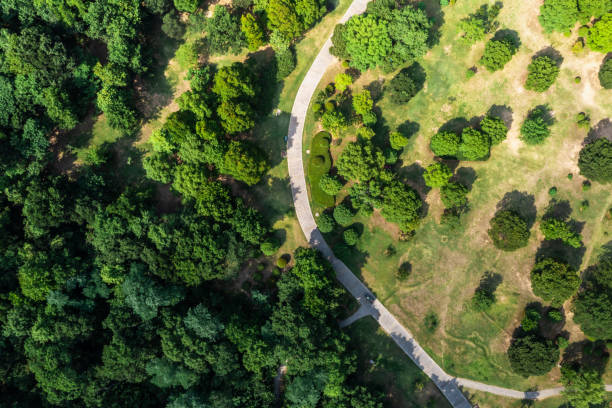 istock Aerial view of road with green trees 1511290832