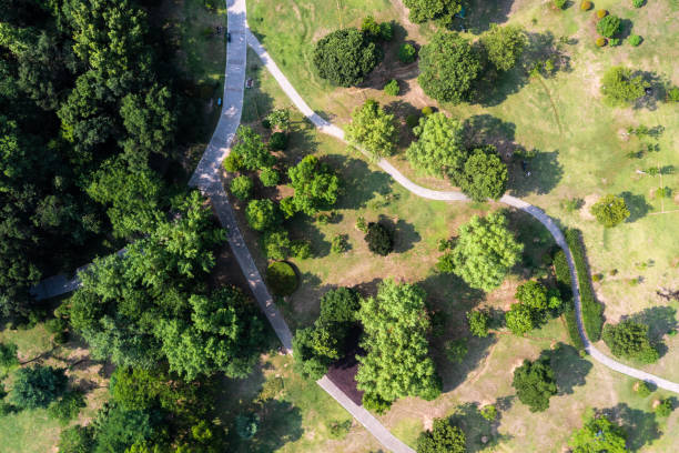 istock Aerial view of road with green trees 1511291984